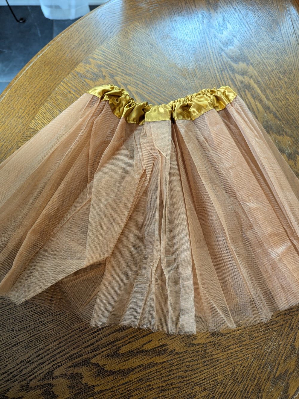 Dog Kids Costume With Tutu Small
